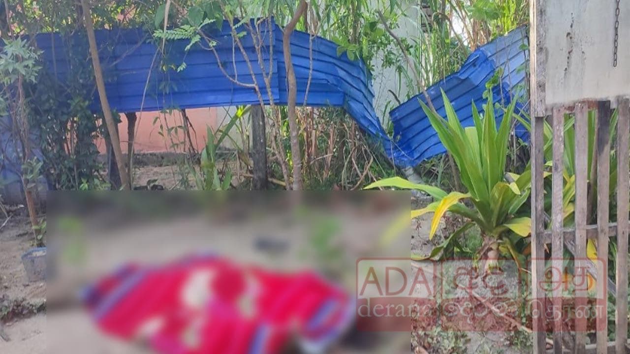 போரதீவுப்பற்றில் காட்டு யானை தாக்குதலில் பெண்ணொருவர் பலி!