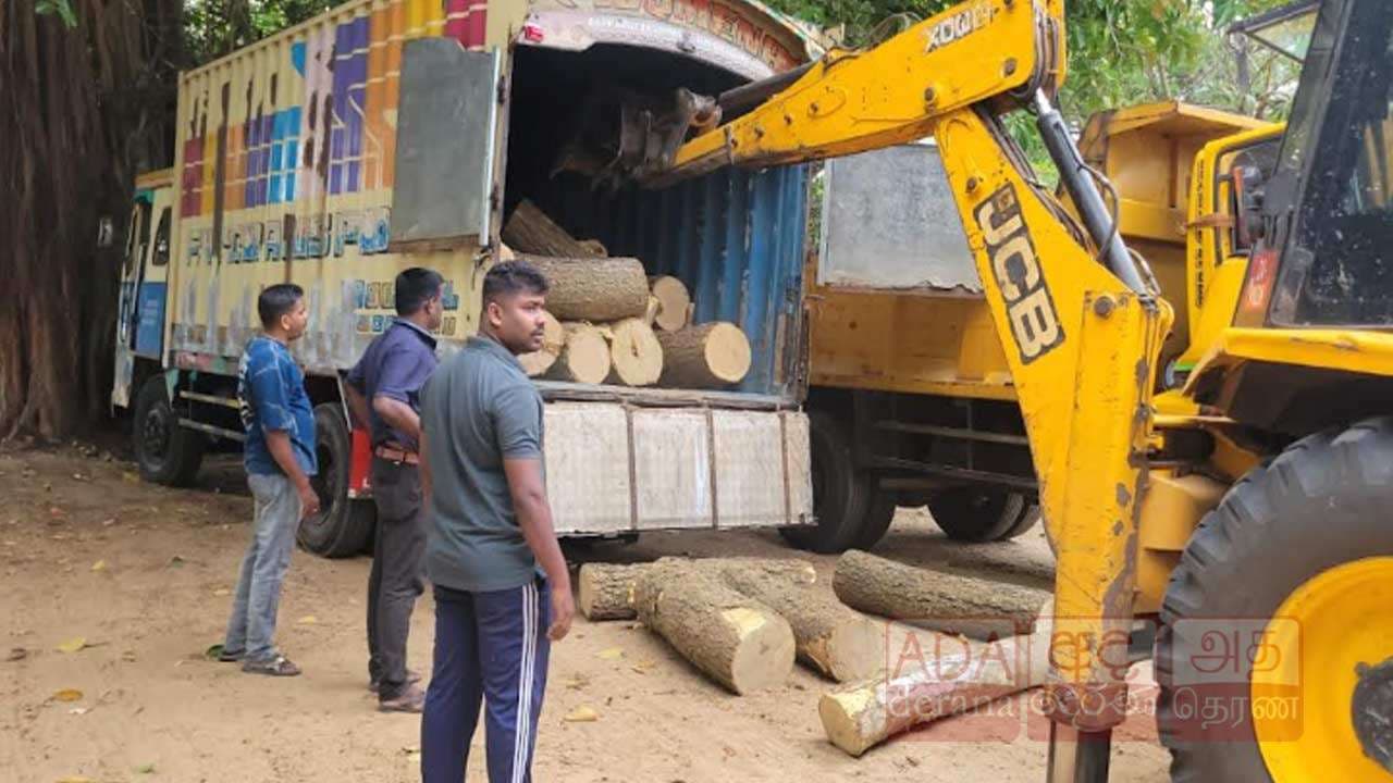 10 இலட்சம் ரூபா பெறுமதியான முதிரை மரக்குற்றிகளுடன் ஒருவர் கைது!