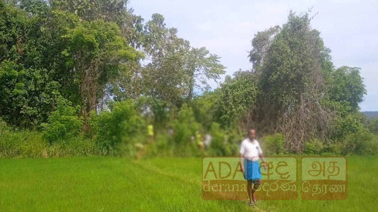 வயல் நிலமொன்றில் இருந்து ஆண் ஒருவரின் சடலம் மீட்பு