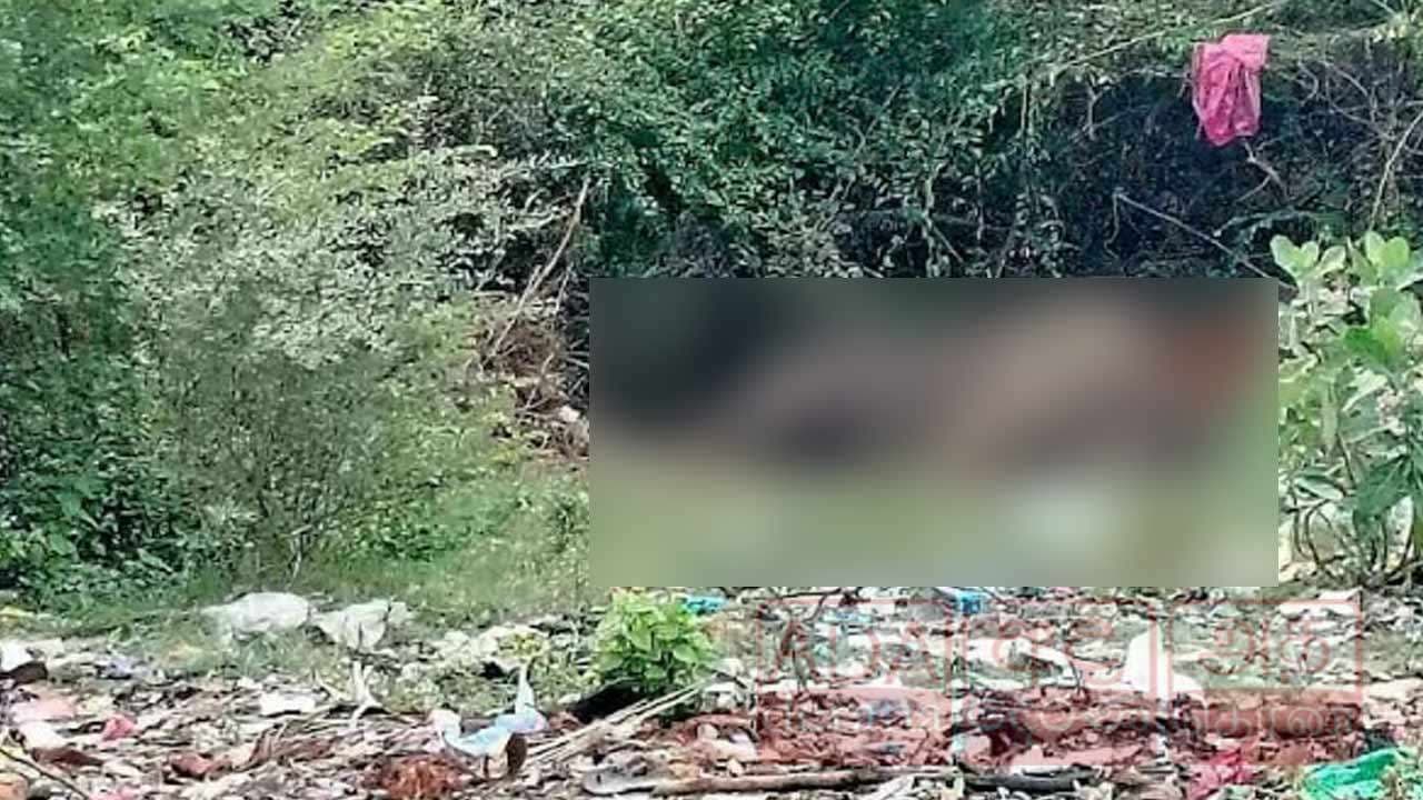 சூடுபத்தினசேனை குப்பை மேட்டில் யானை ஒன்று உயிரிழந்த நிலையில் மீட்பு!