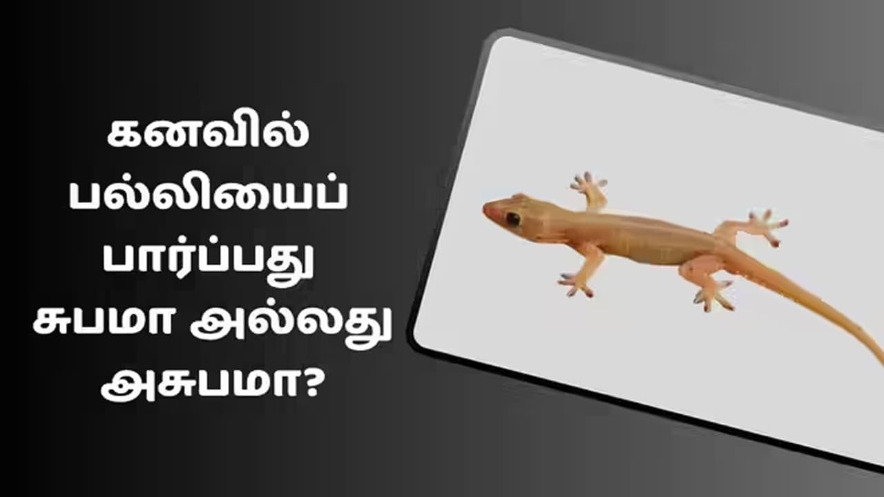 கனவில் பல்லி பார்த்தால் என்ன பலன் கிடைக்கும்?