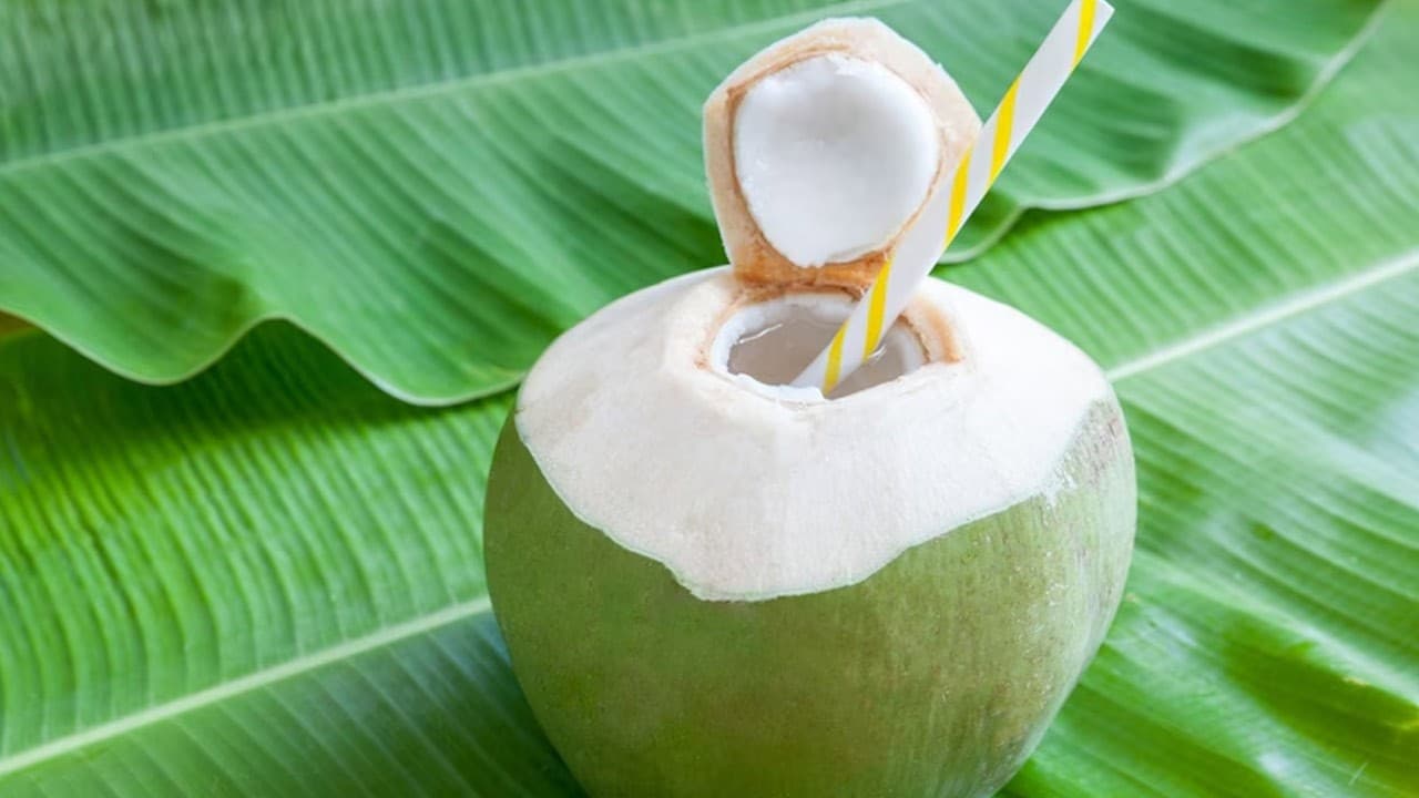 தினமும் நீங்கள் இளநீர் குடிக்கிறீர்களா?