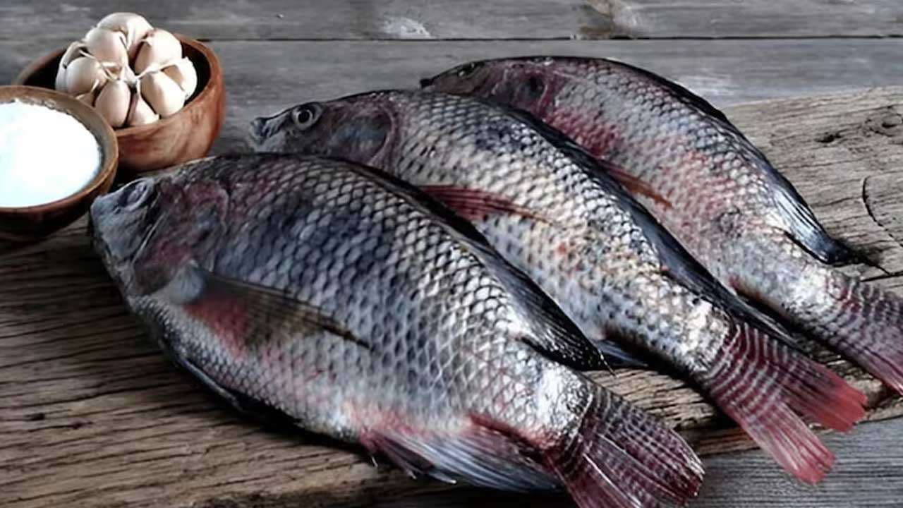 மீன் வாங்கும் போது இந்த விஷயத்தை கண்டிப்பா கவனிங்க!