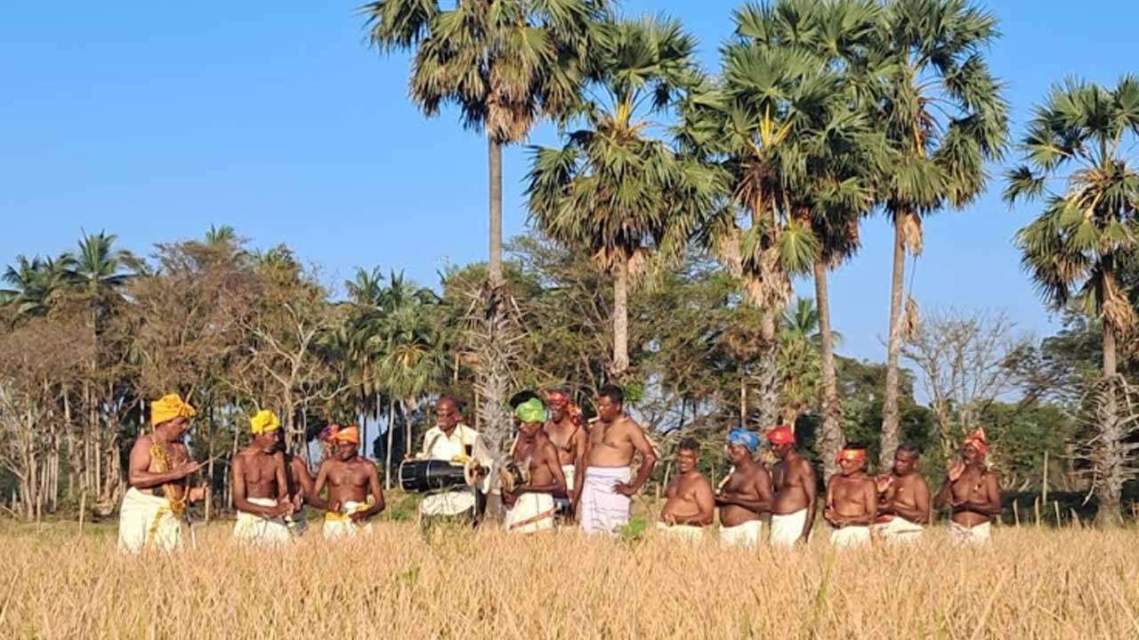 சிந்து அறுவடை நிகழ்வு!