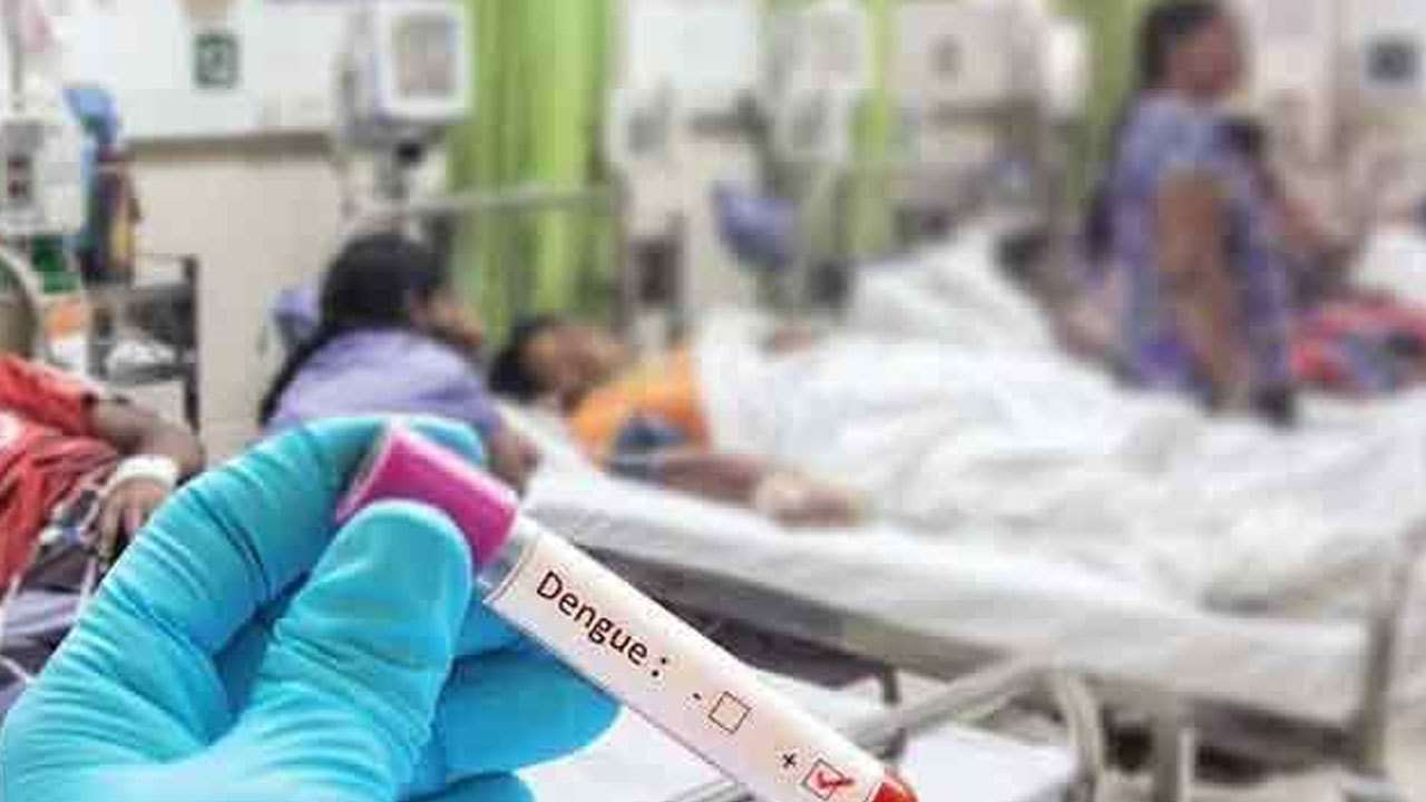 டெங்கு நோயாளர்களின் எண்ணிக்கை 90,000 ஐ நெருங்குகிறது: 65 பேர் பலி