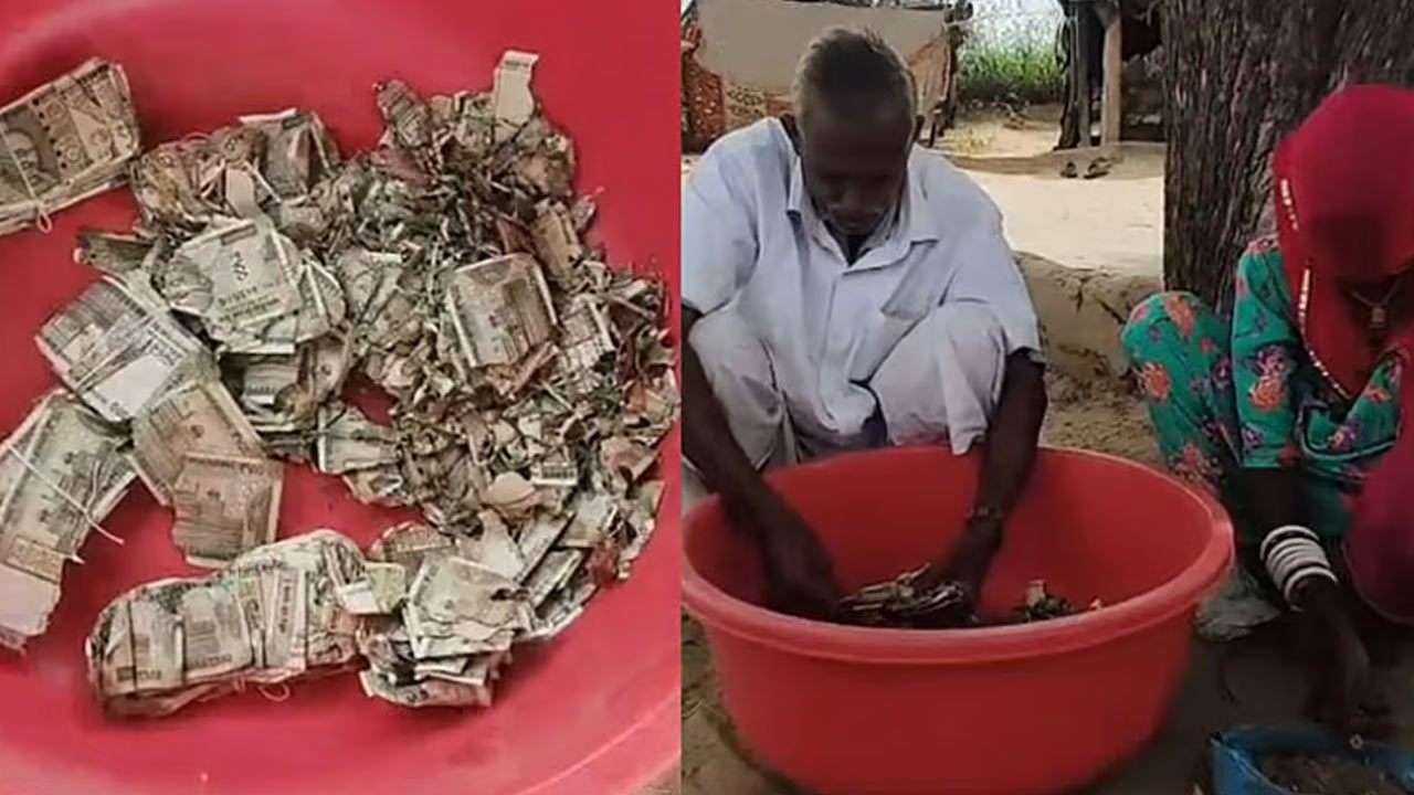 மனைவிக்கு பயந்து பணத்தை மண்ணில் புதைத்த விவசாயி!