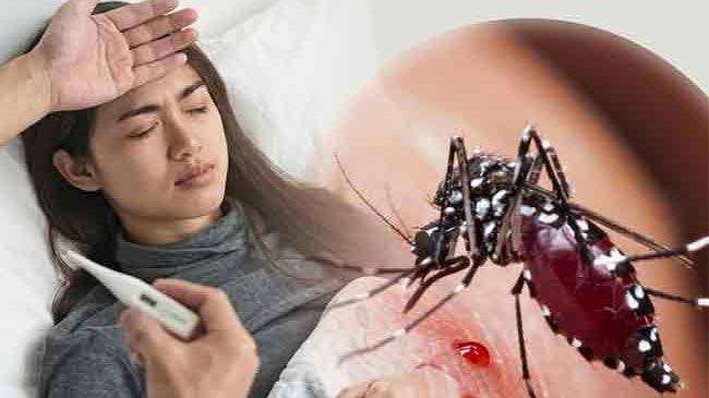 டெங்கு நோயாளிகளின் எண்ணிக்கை 90,000 ஐ கடந்தது