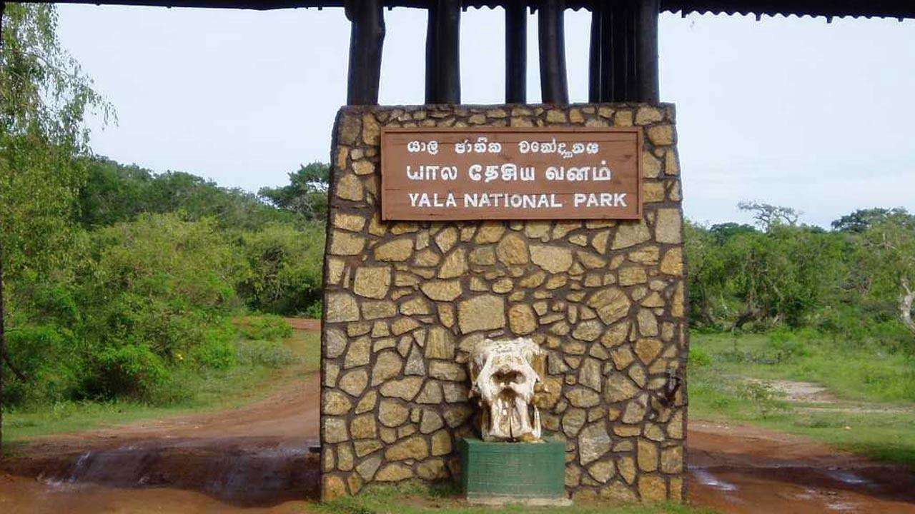 யால தேசிய பூங்காவில் துப்பாக்கிச் சூடு: ஒருவர் காயம்