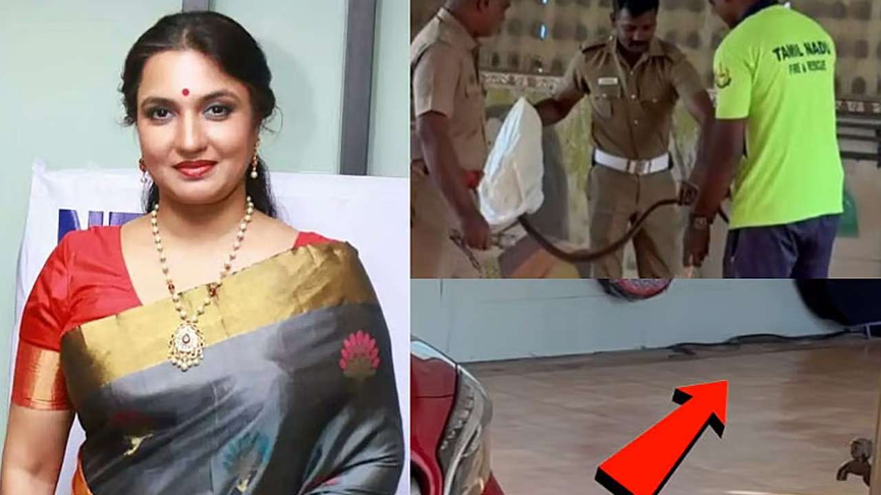 நடிகை சுகன்யா வீட்டிற்குள் பாம்பு புகுந்ததால் பரபரப்பு