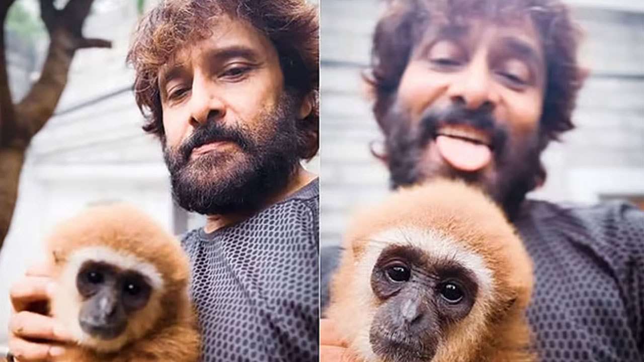 அரிய வகை குரங்கு விவகாரத்தில் நடிகர் விக்ரமிற்கு தொடர்பு இல்லை!