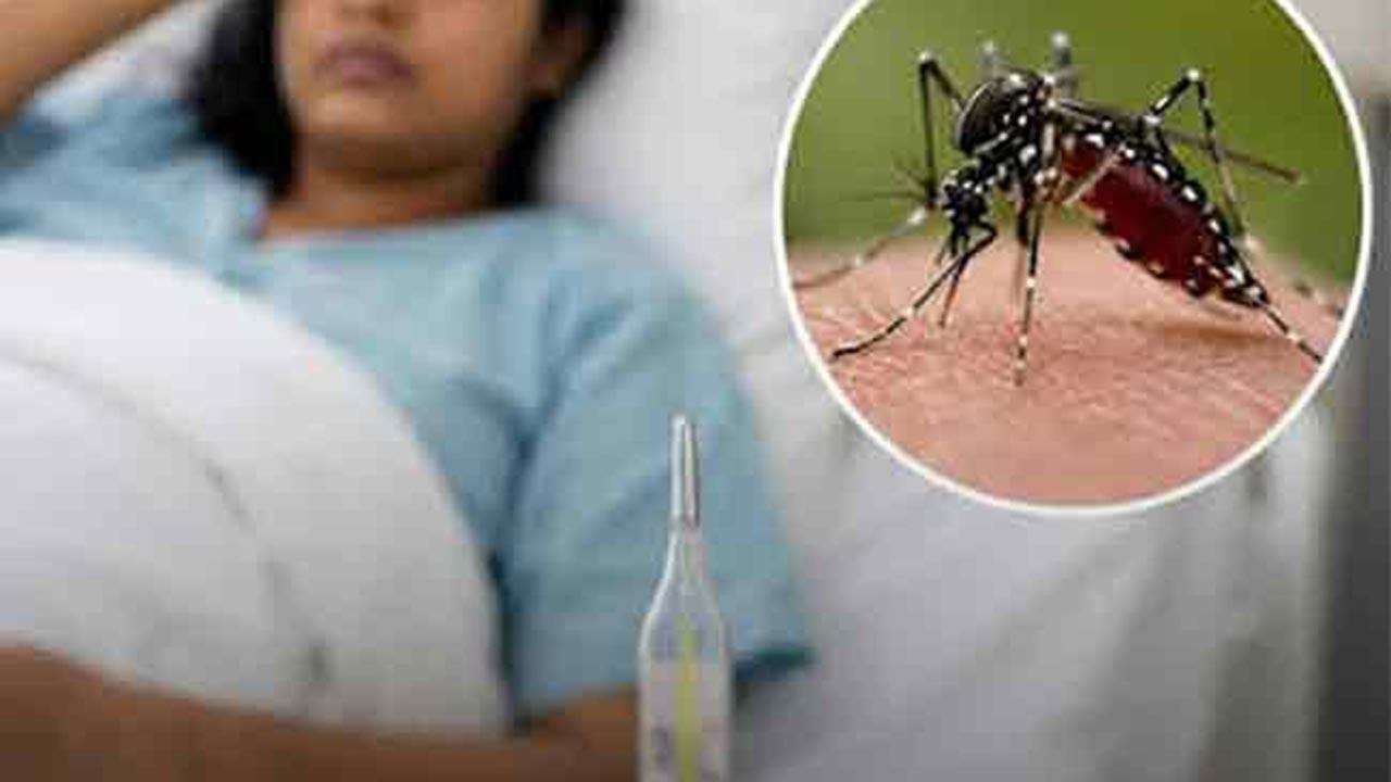 டெங்கு நோயாளர்களின் எண்ணிக்கை 92,000 ஐத் தாண்டியது