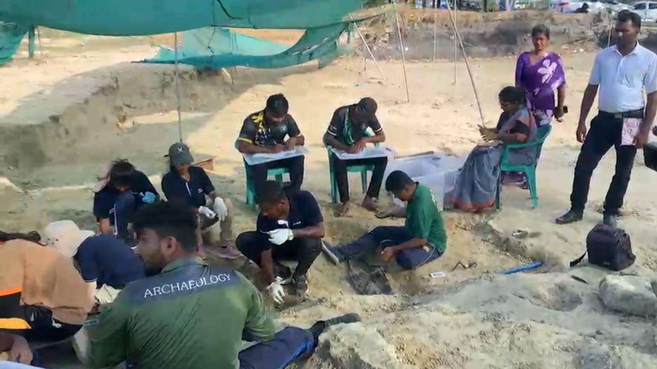 செம்மணியில் இதுவரை 565 எலும்புக்கூடுகள் அகழ்ந்தெடுப்பு!