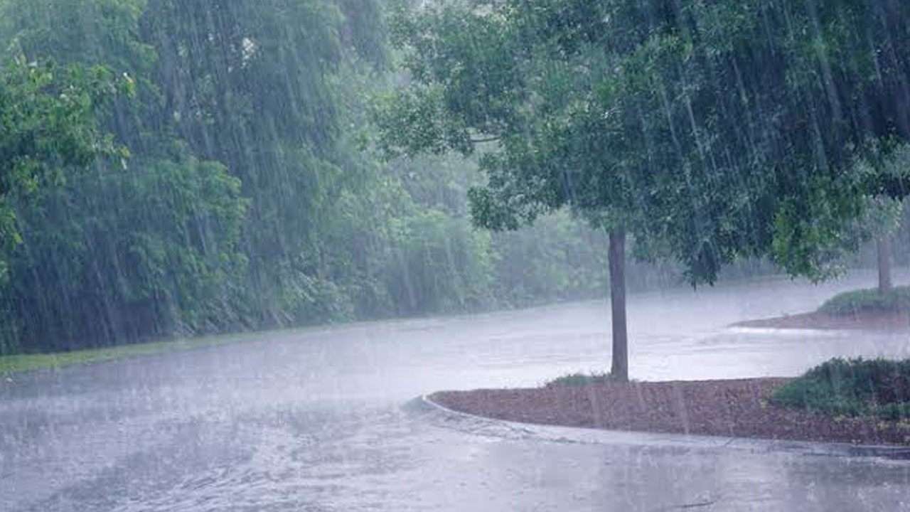 நாட்டின் பல பகுதிகளில் மழை மற்றும் பலத்த காற்று