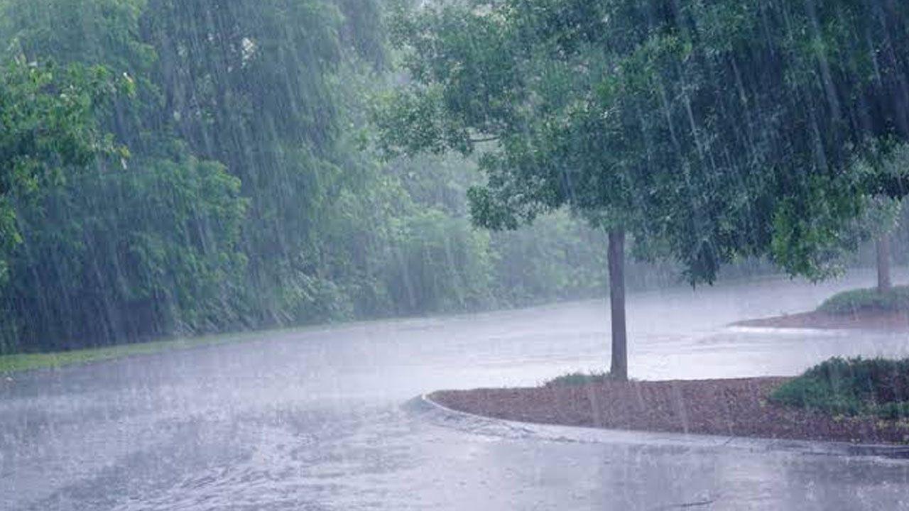 நாட்டின் பல பகுதிகளில் மழை மற்றும் பலத்த காற்று