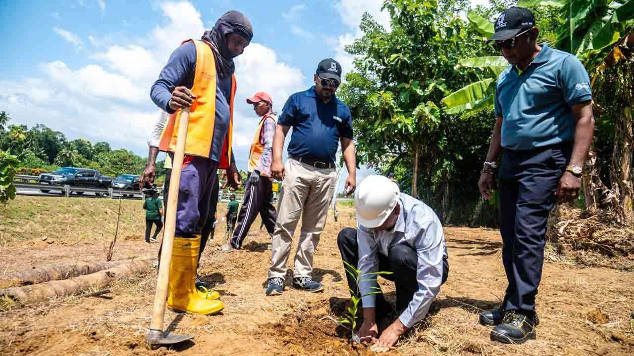 தெற்கு அதிவேக நெடுஞ்சாலையில் 600 மரங்களின் நடுகை மூலம் மீள்காடாக்கல் திட்டத்திற்கு தலைமை தாங்கும் Hayleys Alumex PLC