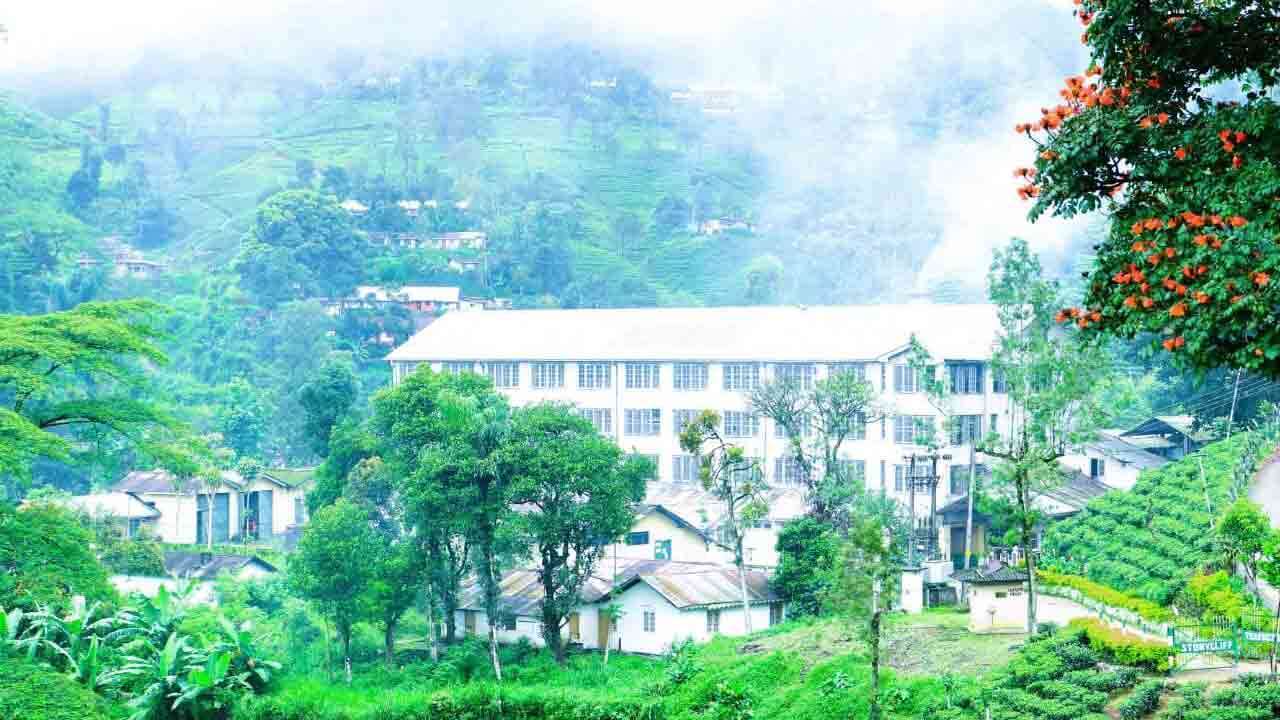 சிலோன் தேயிலையின் வரலாற்றை வடிவமைக்க ஸ்டோனிக்ளிஃப் பெருந்தோட்டம் எவ்வாறு உதவியது