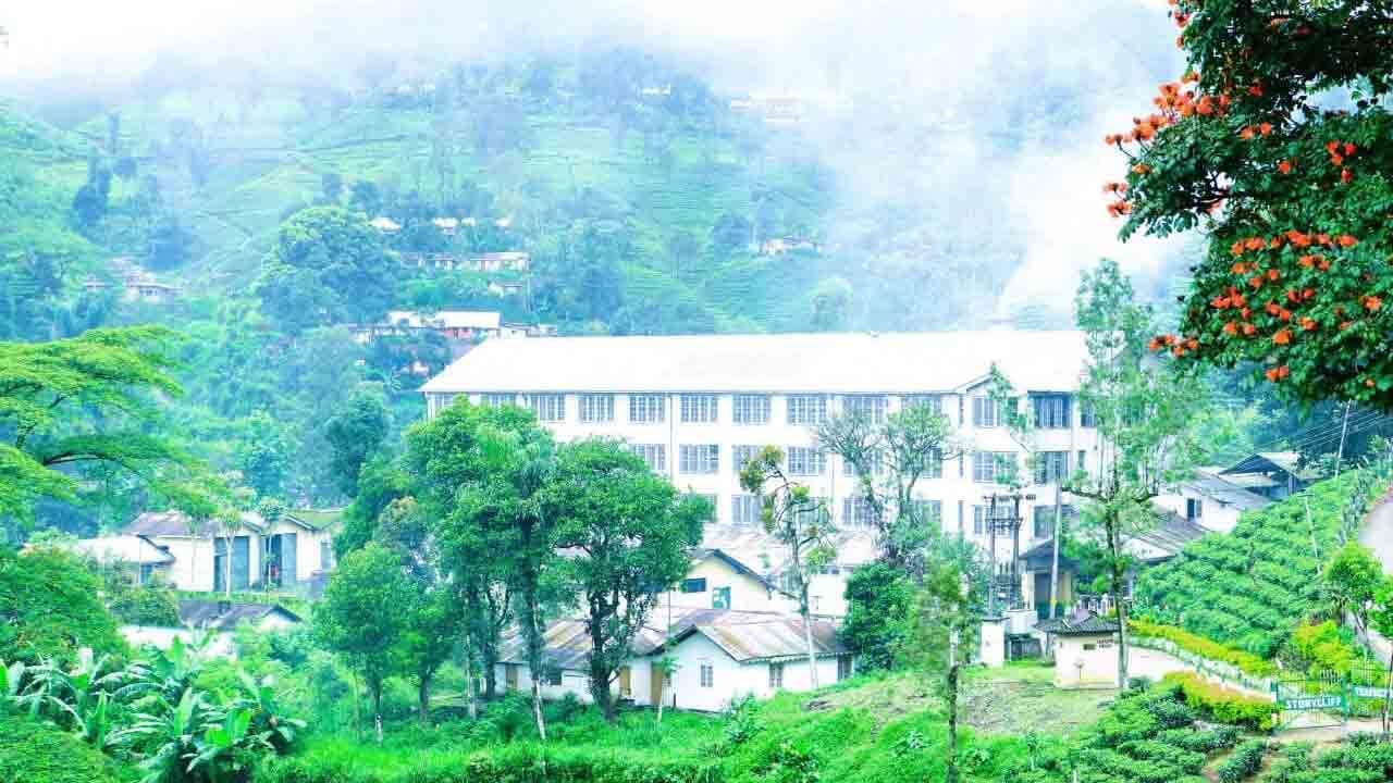 சிலோன் தேயிலையின் வரலாற்றை வடிவமைக்க ஸ்டோனிக்ளிஃப் பெருந்தோட்டம் எவ்வாறு உதவியது