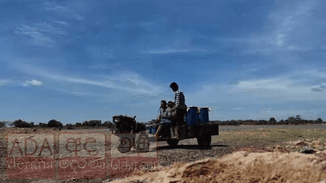 வறட்சியால் பாதிக்கப்பட்ட பயிர்களுக்கு விரைவில் விவசாய நட்டஈடு