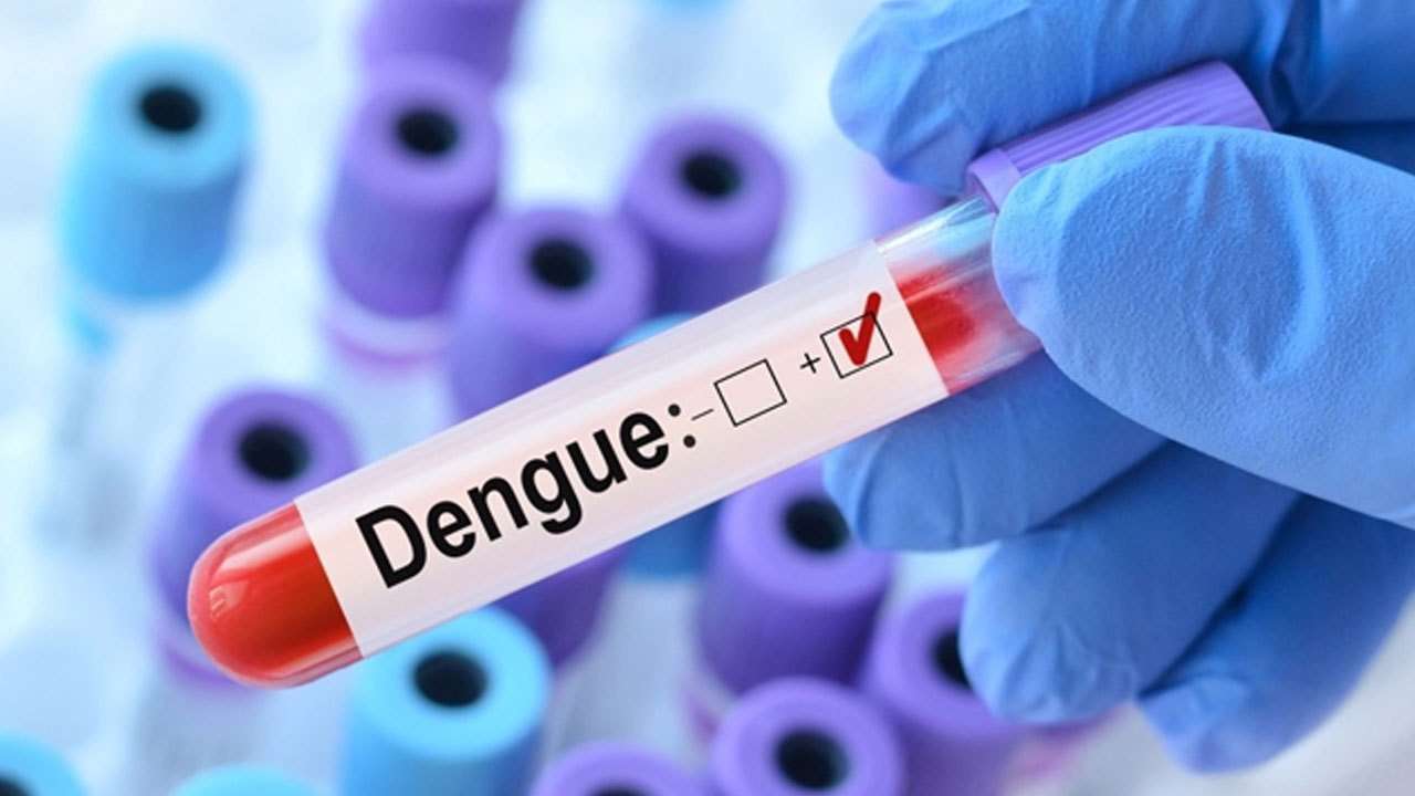 டெங்கு மரணங்கள் 69 ஆக அதிகரிப்பு