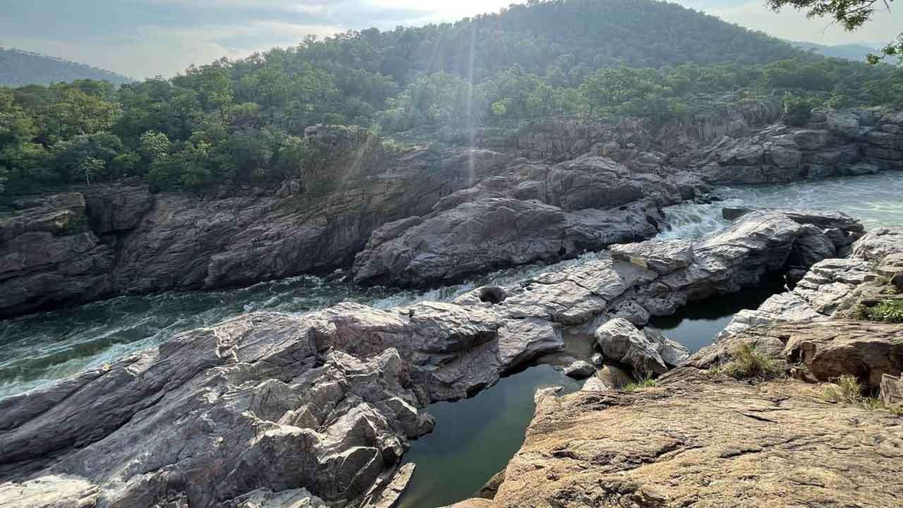 மேகதாது அணையை கட்ட 8.90 இலட்சம் மரங்கள் வெட்டப்படும் அபாயம்