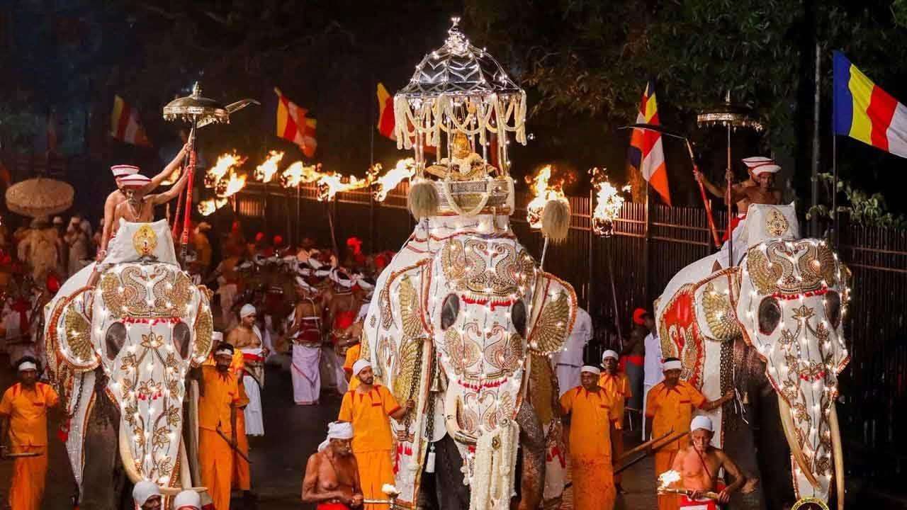 கண்டி எசல பெரஹெராவின் இறுதி கும்பல் பெரஹரா இன்று வீதி உலா!