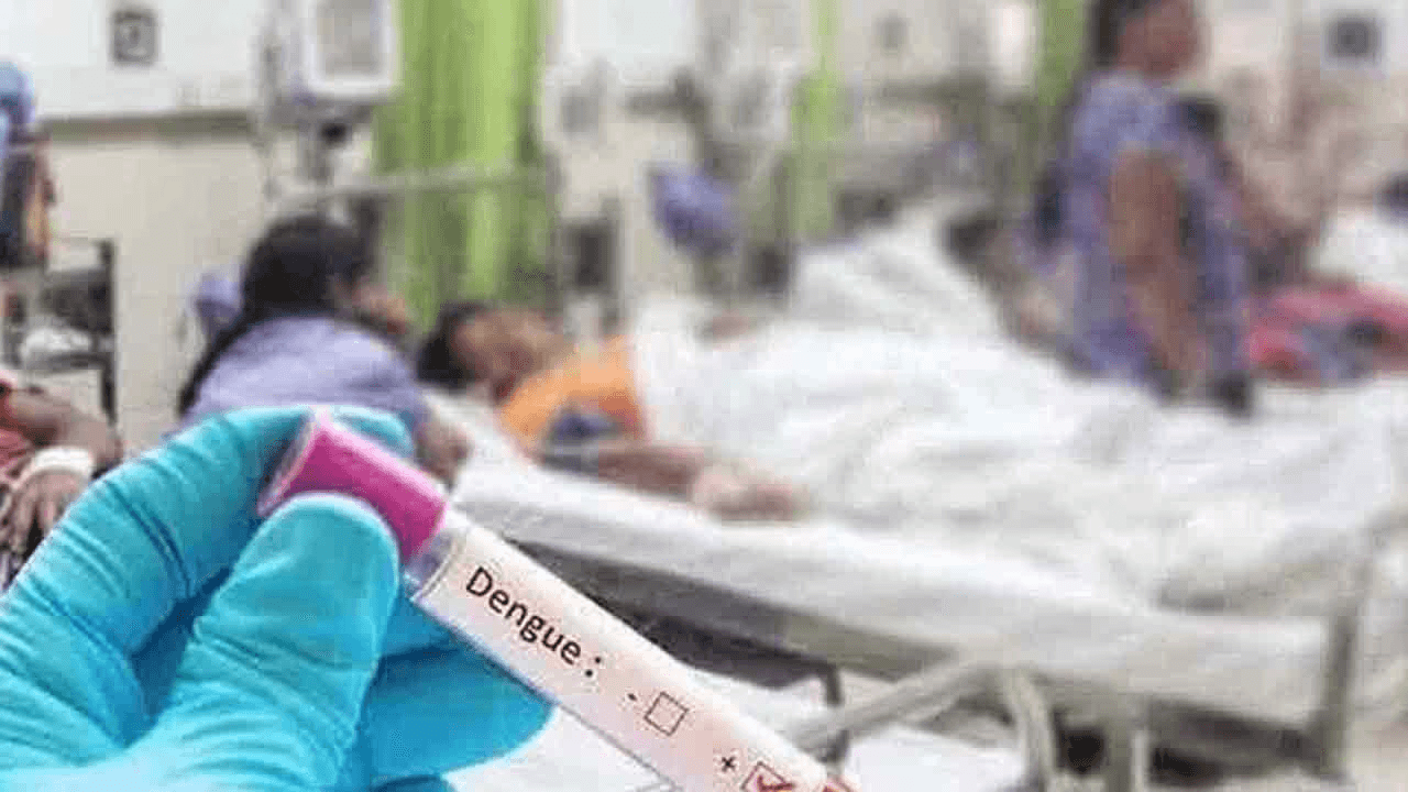 டெங்கு நோயாளிகளின் எண்ணிக்கை 93,635 ஆக உயர்வு
