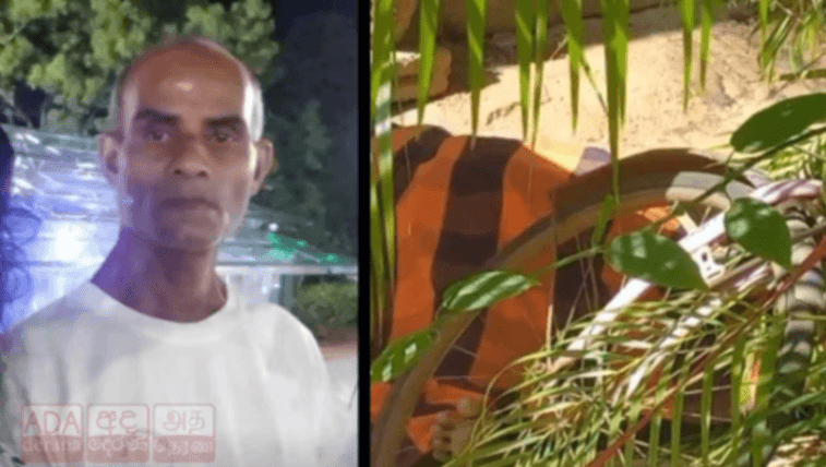 குளவித் தாக்குதலுக்கு இலக்காகி ஒருவர் உயிரிழப்பு