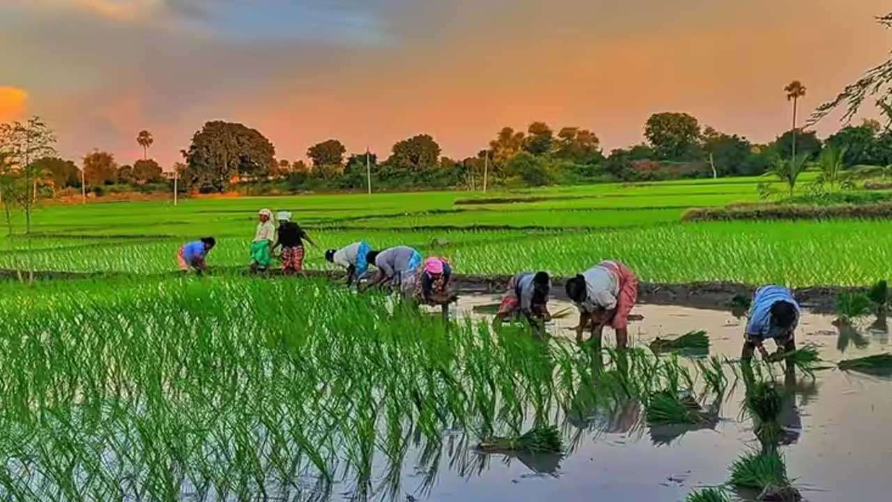 பெரும், சிறு போகங்களை முன்கூட்டியே தொடங்க திட்டம்