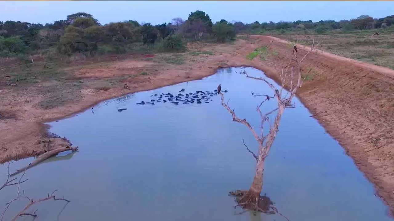 74 நீர்த்தேக்கங்களின் நீர் கொள்ளளவு 36 சதவீதம் வரை வீழ்ச்சி