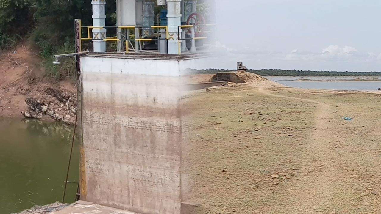20 வீதமாகக் குறைந்த இரணைமடு நீர்மட்டம்!