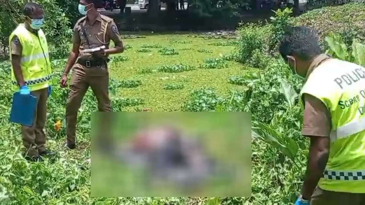 முதலை தாக்குதலுக்கு உள்ளானவரின் சடலம் மீட்பு