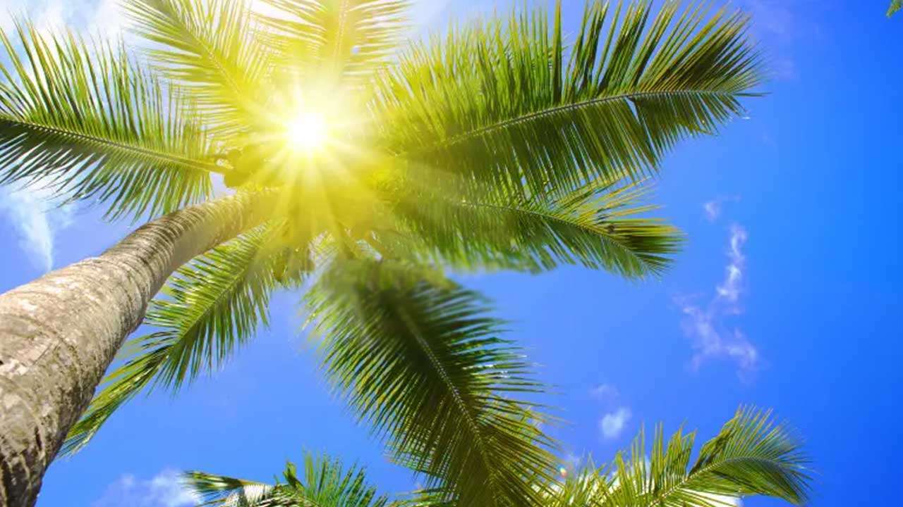 சூரியன் இன்று உச்சம் கொடுக்கும் இடங்கள் இதோ