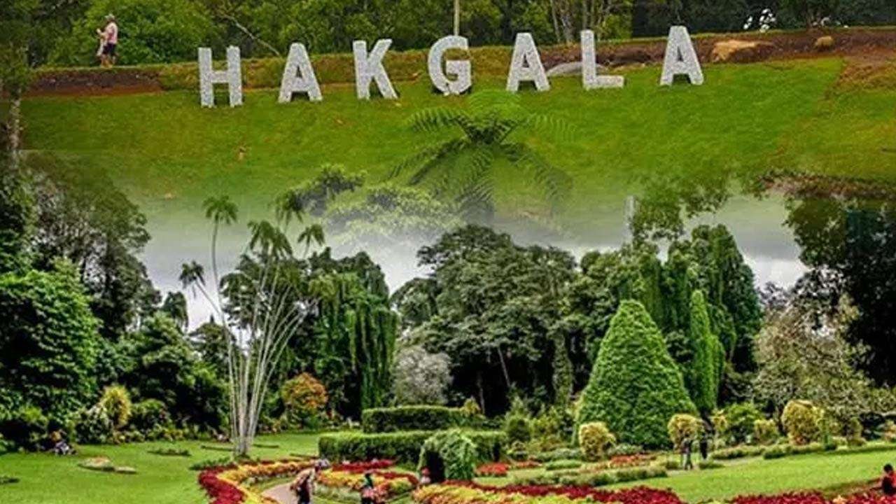 ஹக்கல தாவரவியல் பூங்காவில் புதிய அபிவிருத்தித் திட்டங்கள்