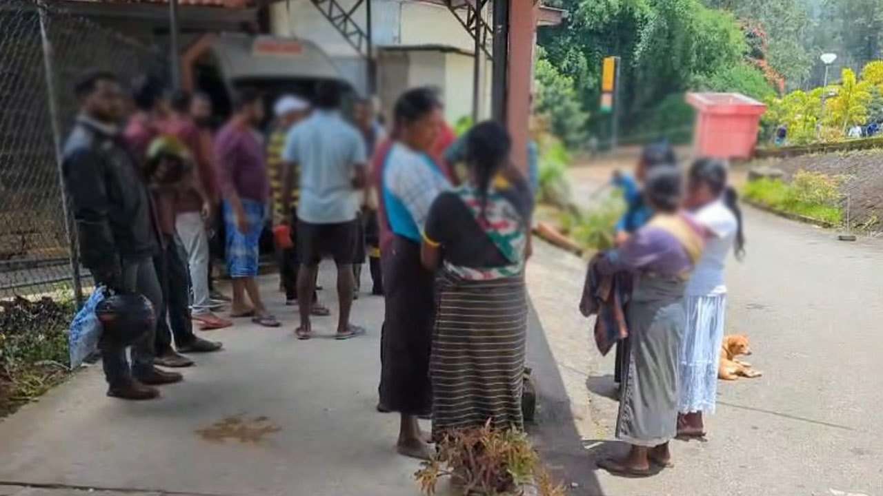 குளவி கொட்டு இலக்கான 17 பேர் வைத்தியசாலையில் அனுமதி!