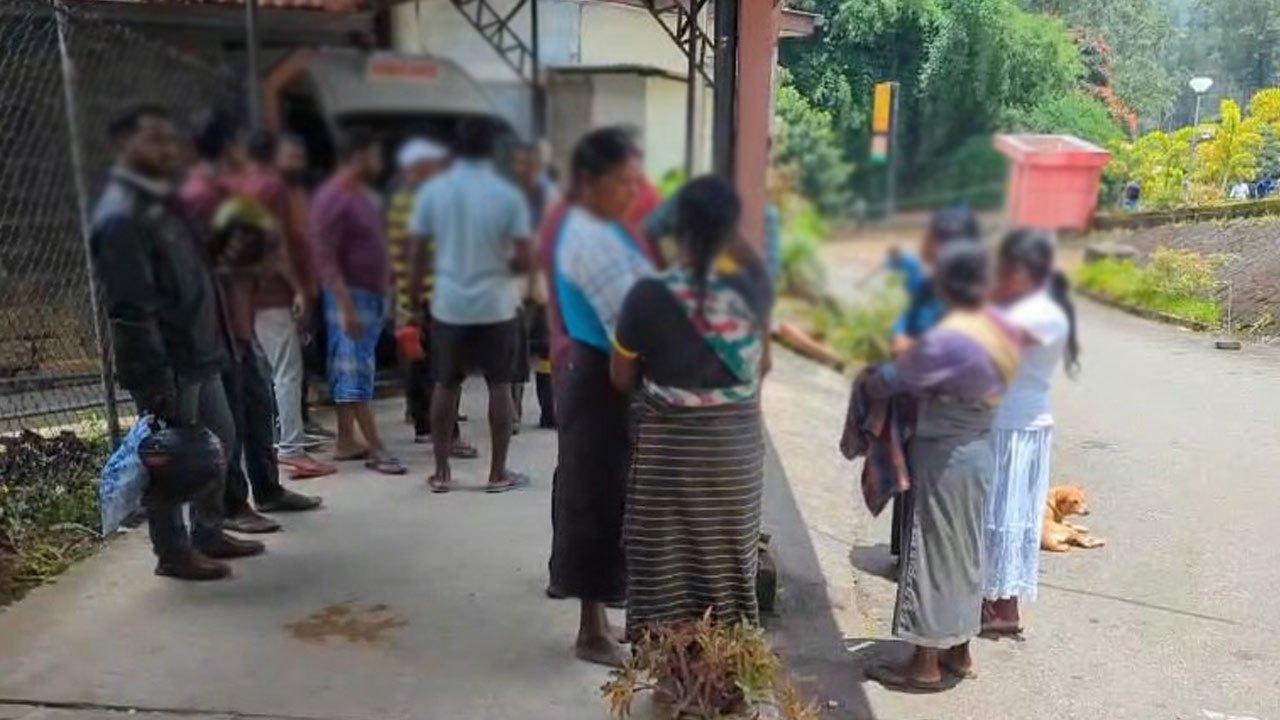 குளவி கொட்டு இலக்கான 17 பேர் வைத்தியசாலையில் அனுமதி!