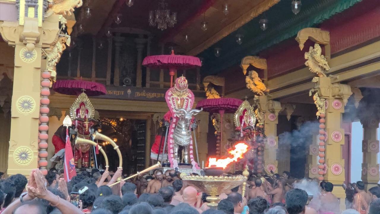 வெள்ளிக்கிடாய் சக கிடாய் வாகன உற்சவம்!