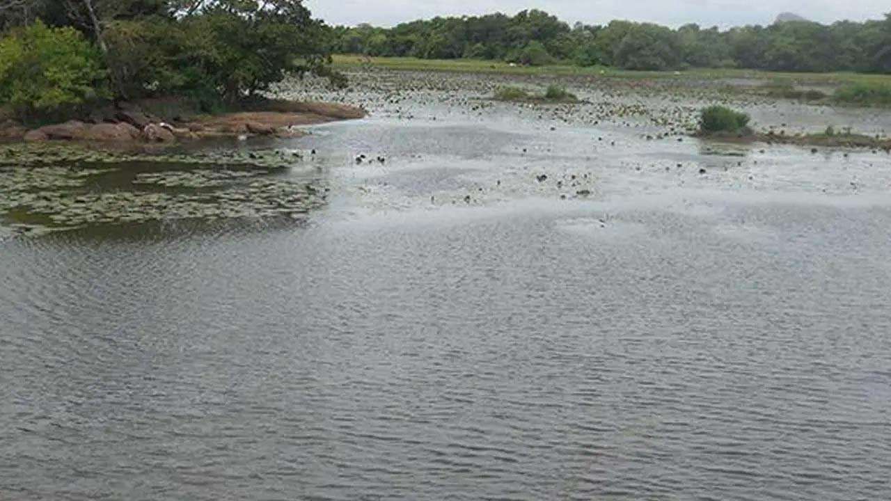 296 சிறிய நீர்ப்பாசனக் குளங்களை புனரமைக்க உலக வங்கி நிதியுதவி
