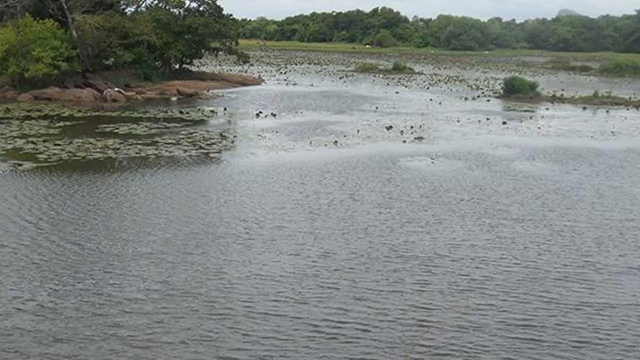 296 சிறிய நீர்ப்பாசனக் குளங்களை புனரமைக்க உலக வங்கி நிதியுதவி