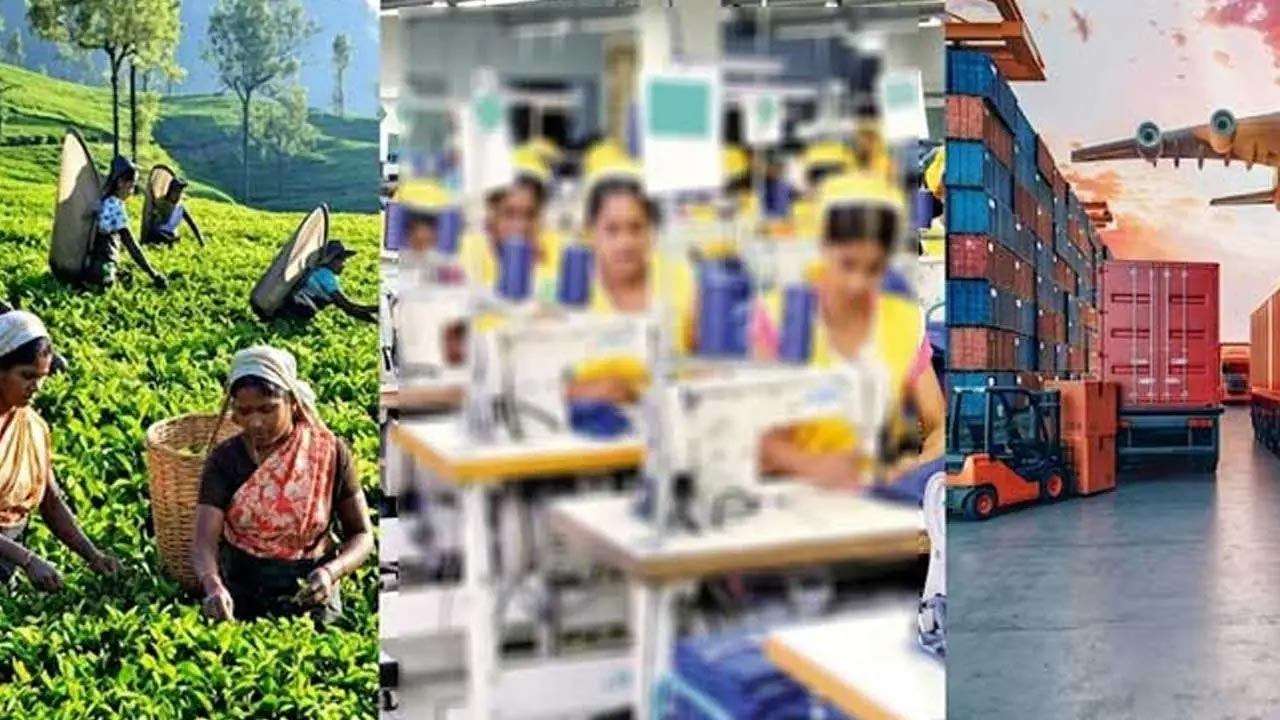 ஜூலையில் தேயிலை, தேங்காய் மற்றும் ஆடை ஏற்றுமதி வருமானம் வீழ்ச்சி
