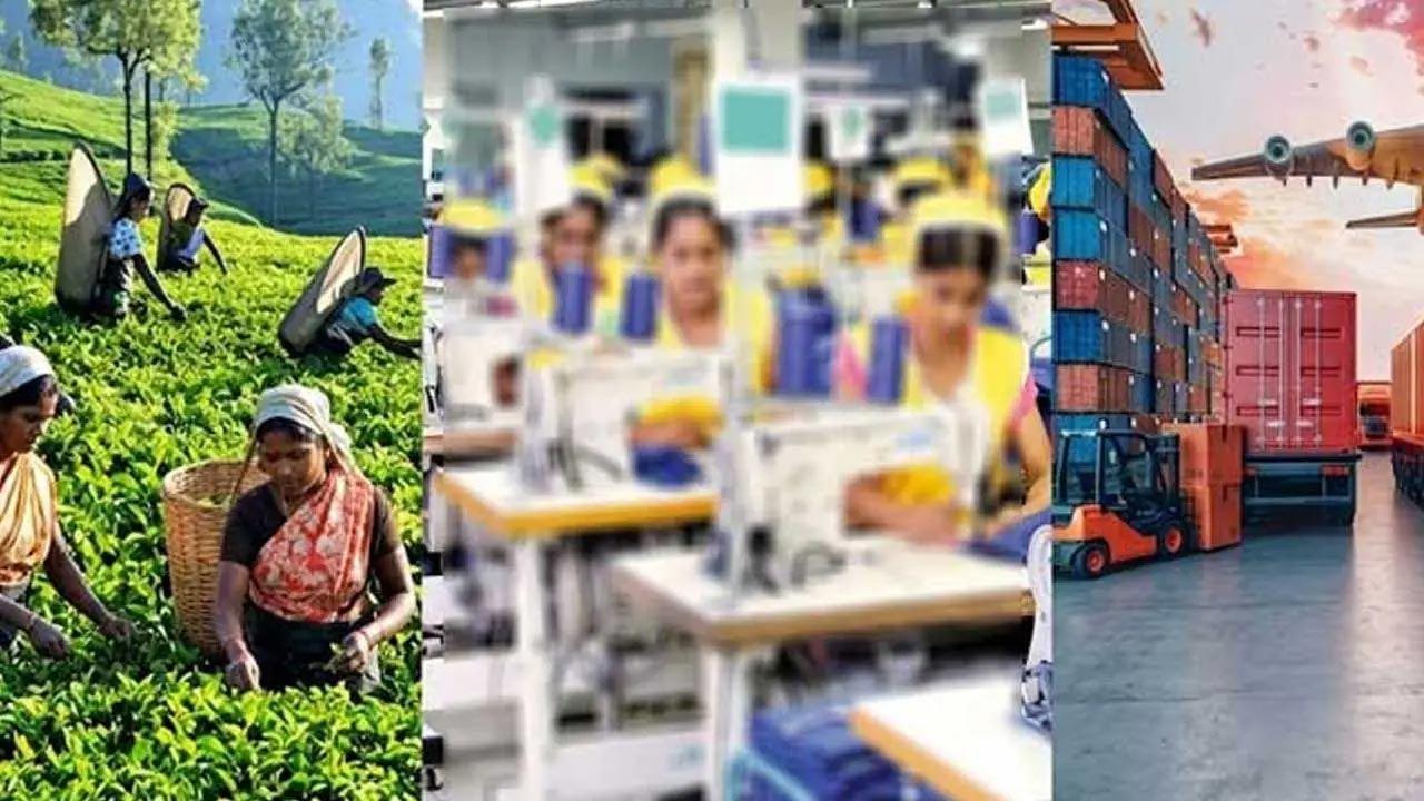 ஜூலையில் தேயிலை, தேங்காய் மற்றும் ஆடை ஏற்றுமதி வருமானம் வீழ்ச்சி