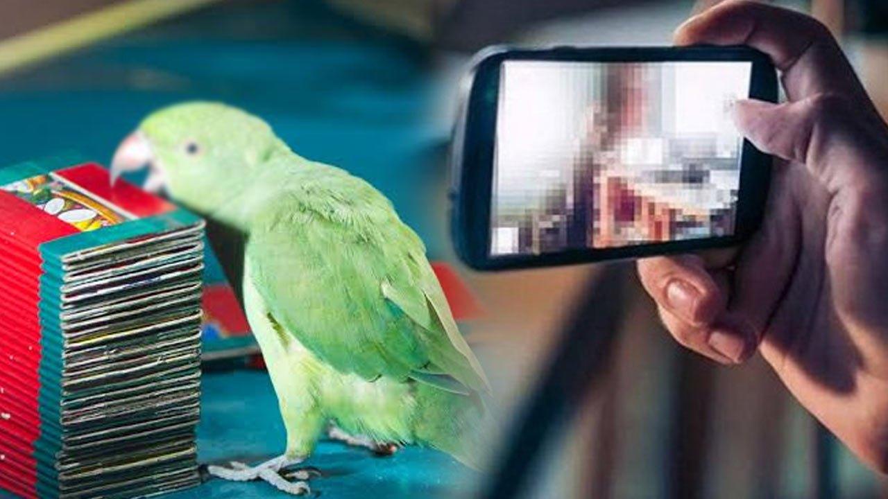 கனடா பெண்ணுக்கு வீடியோ காலில் நிர்வாண பூஜை!