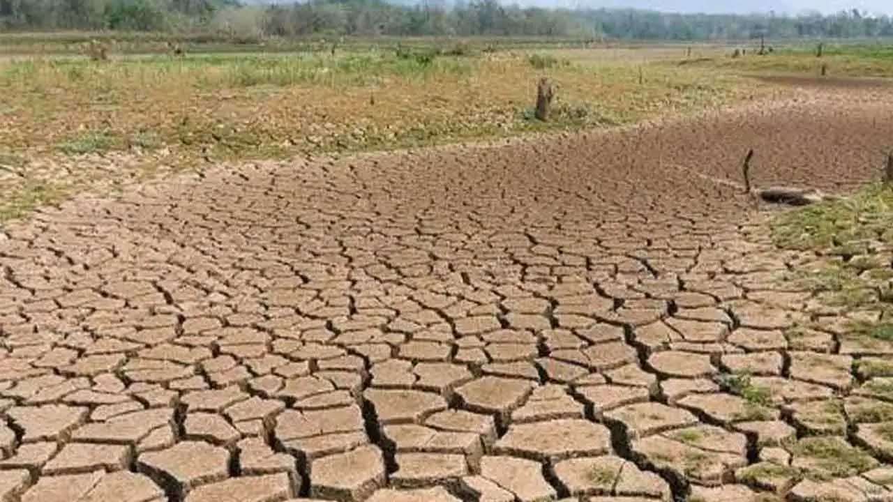 கடும் வறட்சியினால் 96 ஆயிரம் பேர் பாதிப்பு