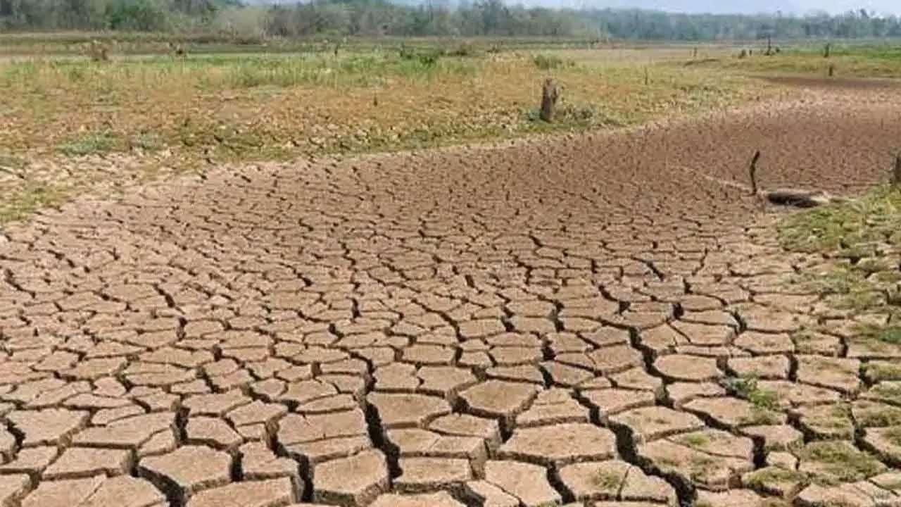 கடும் வறட்சியினால் 96 ஆயிரம் பேர் பாதிப்பு