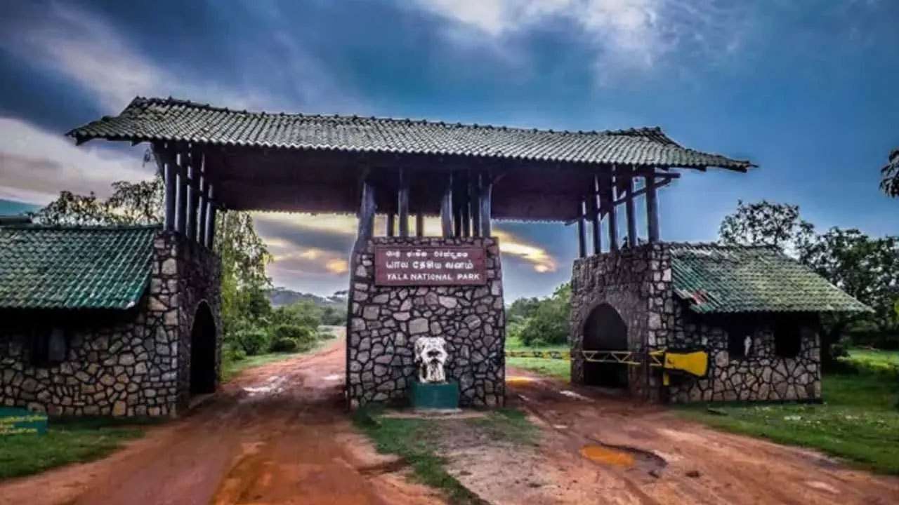 யால தேசிய வனத்தை தற்காலிகமாக மூடுவதற்கு தீர்மானம்
