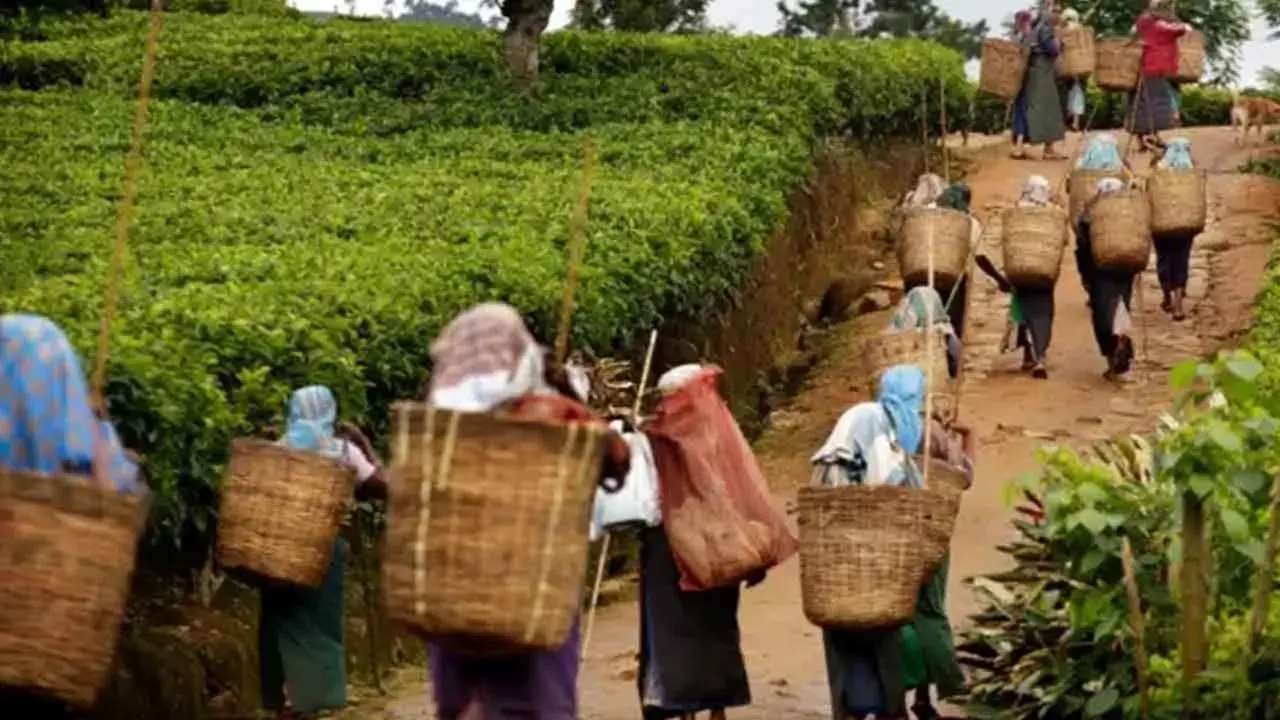 மலையக மக்களுக்கு மகிழ்ச்சியான செய்தி!