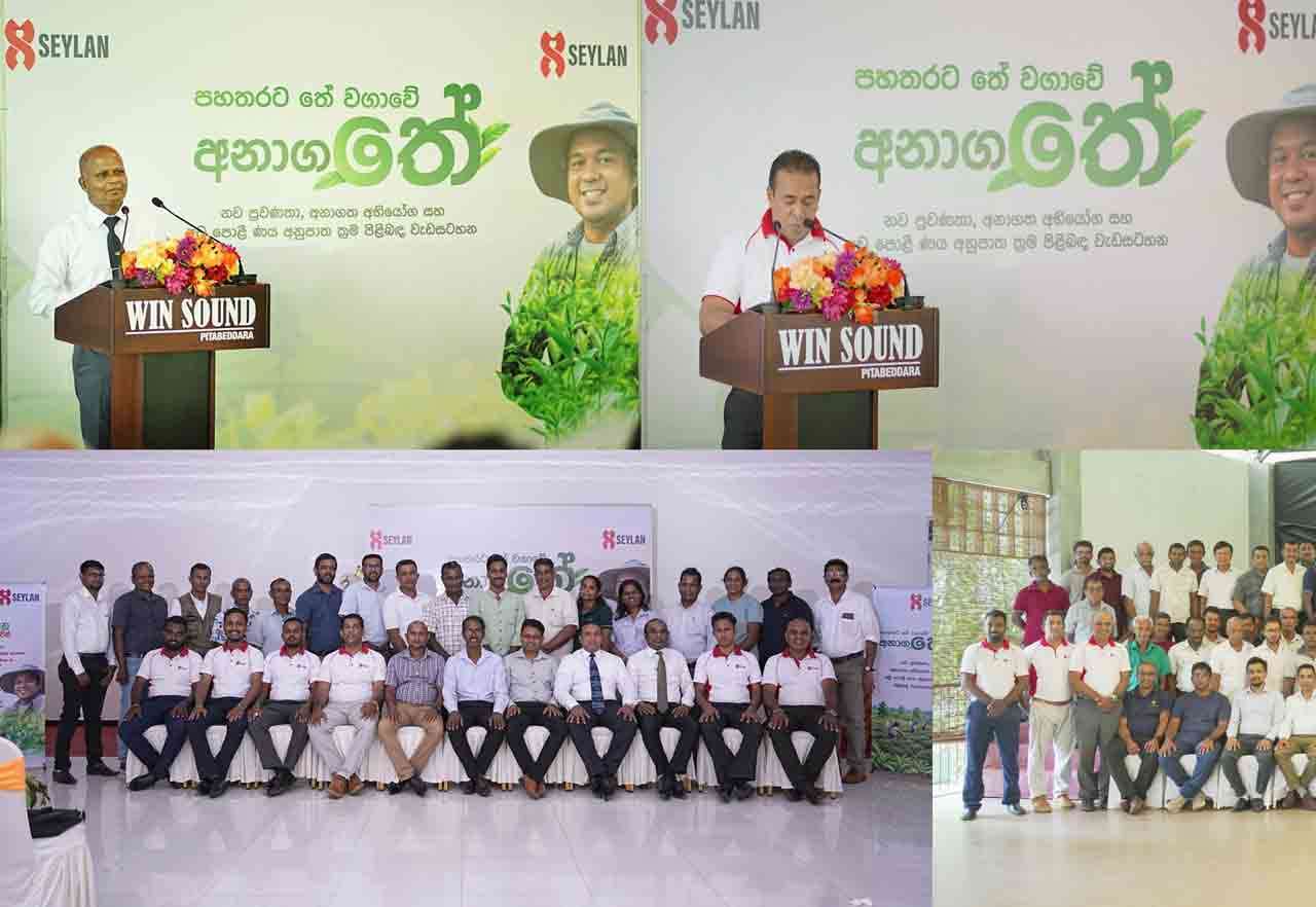 செலான் வங்கி, SME Scale-Up அமர்வுகள் ஊடாக தென்மாகாணத்தின் சிறு தேயிலைத் தோட்ட உரிமையாளர்களை வலுவூட்டுகிறது