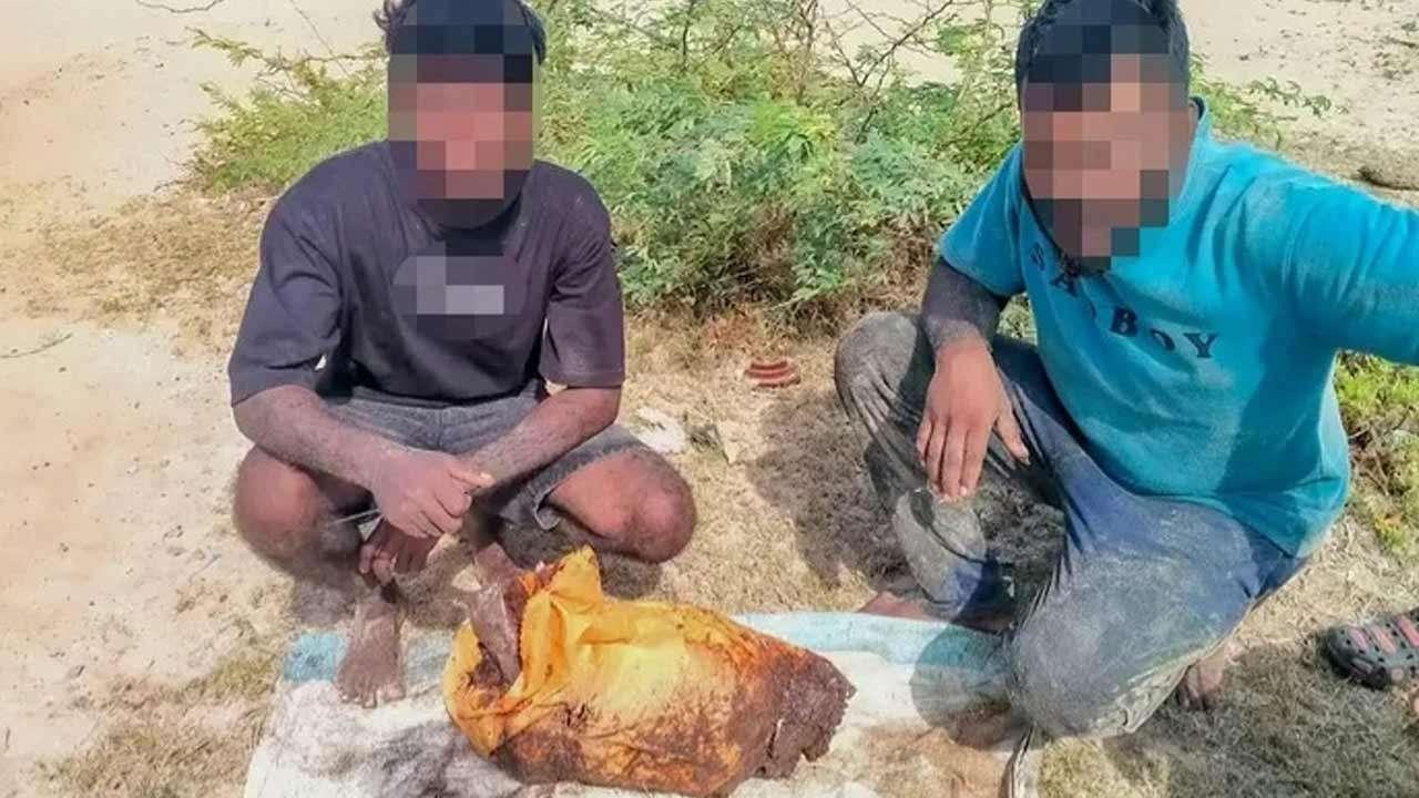 திமிங்கில வாந்தியுடன் இருவர் கைது