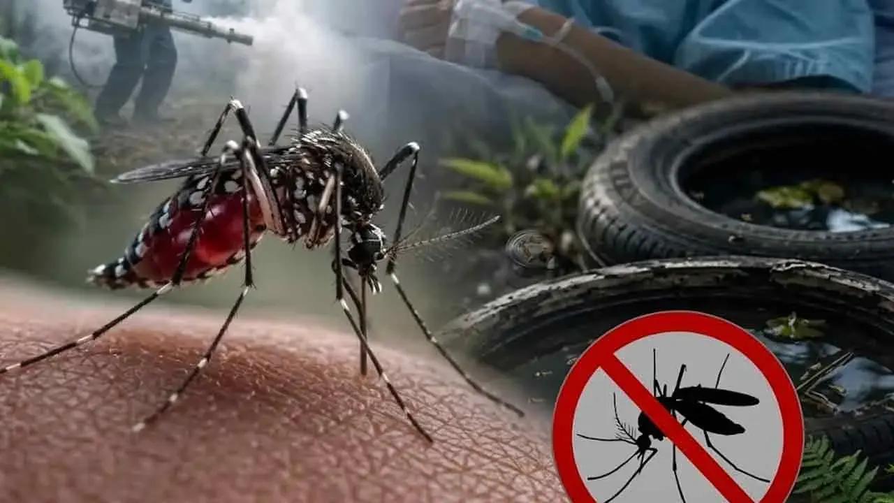 டெங்கு மரணங்களின் எண்ணிக்கை 75 ஆக உயர்வு
