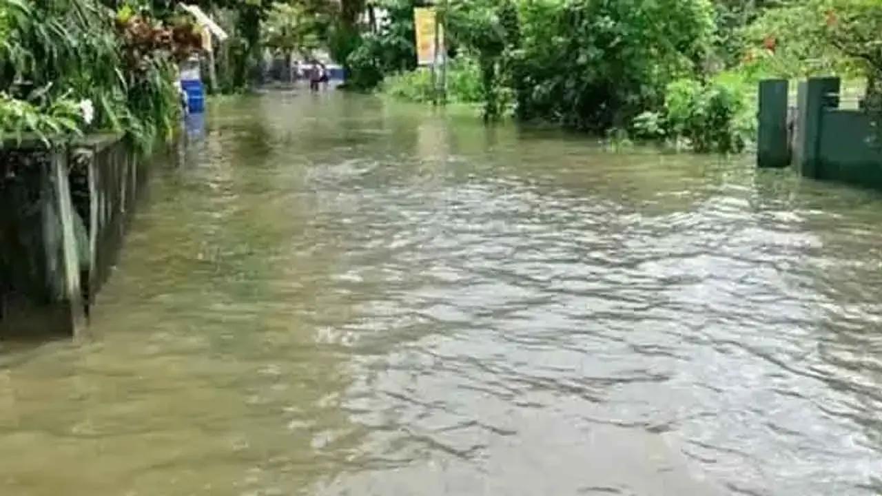 மகாவலி தாழ்நிலப் பகுதிகளுக்கு சிறிய வெள்ளப்பெருக்கு அபாய எச்சரிக்கை!