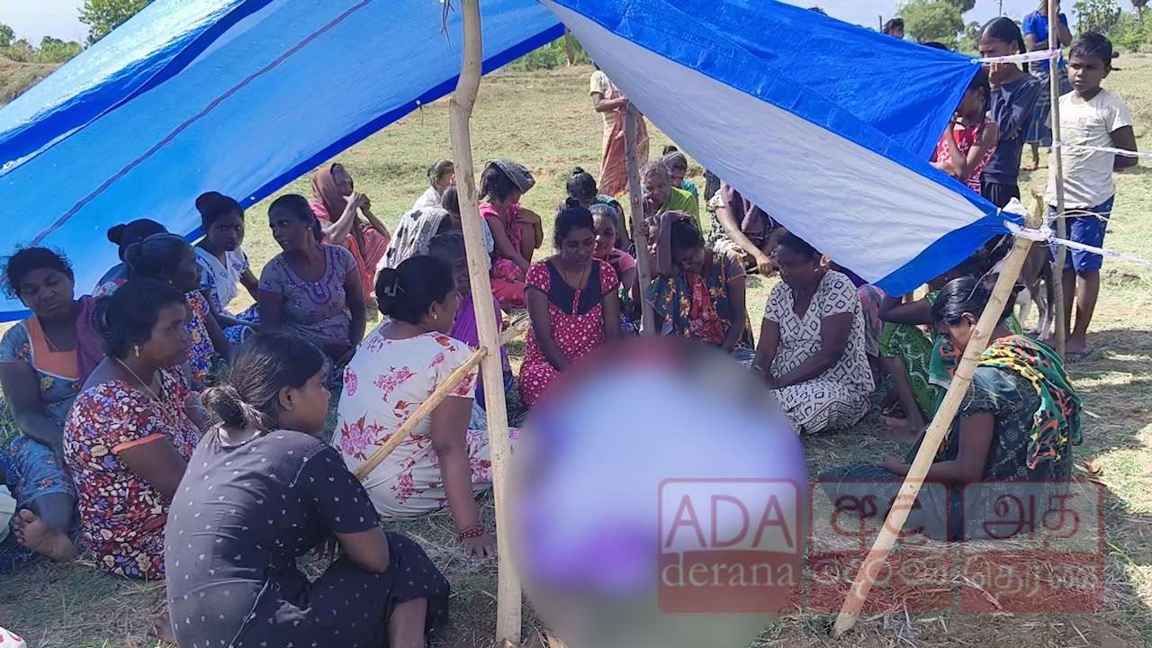யானை வேலி அமைக்கக்கோரி மக்கள் ஆர்ப்பாட்டம்!